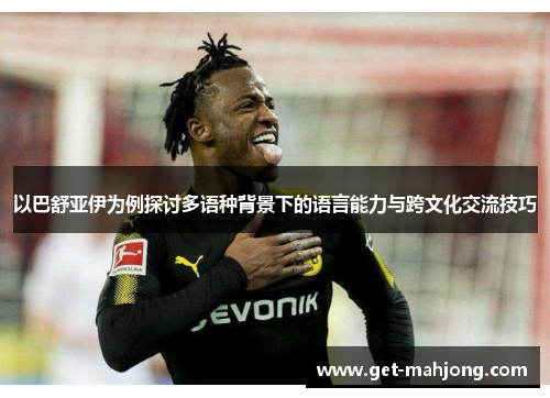 以巴舒亚伊为例探讨多语种背景下的语言能力与跨文化交流技巧