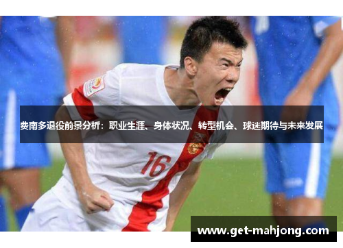 费南多退役前景分析:职业生涯、身体状况、转型机会、球迷期待与未来发展 费南多退役前景分析:职业生涯、身体状况、转型机会、球迷期待与未来发展